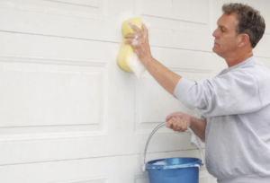 What should I use to clean my Garage Door